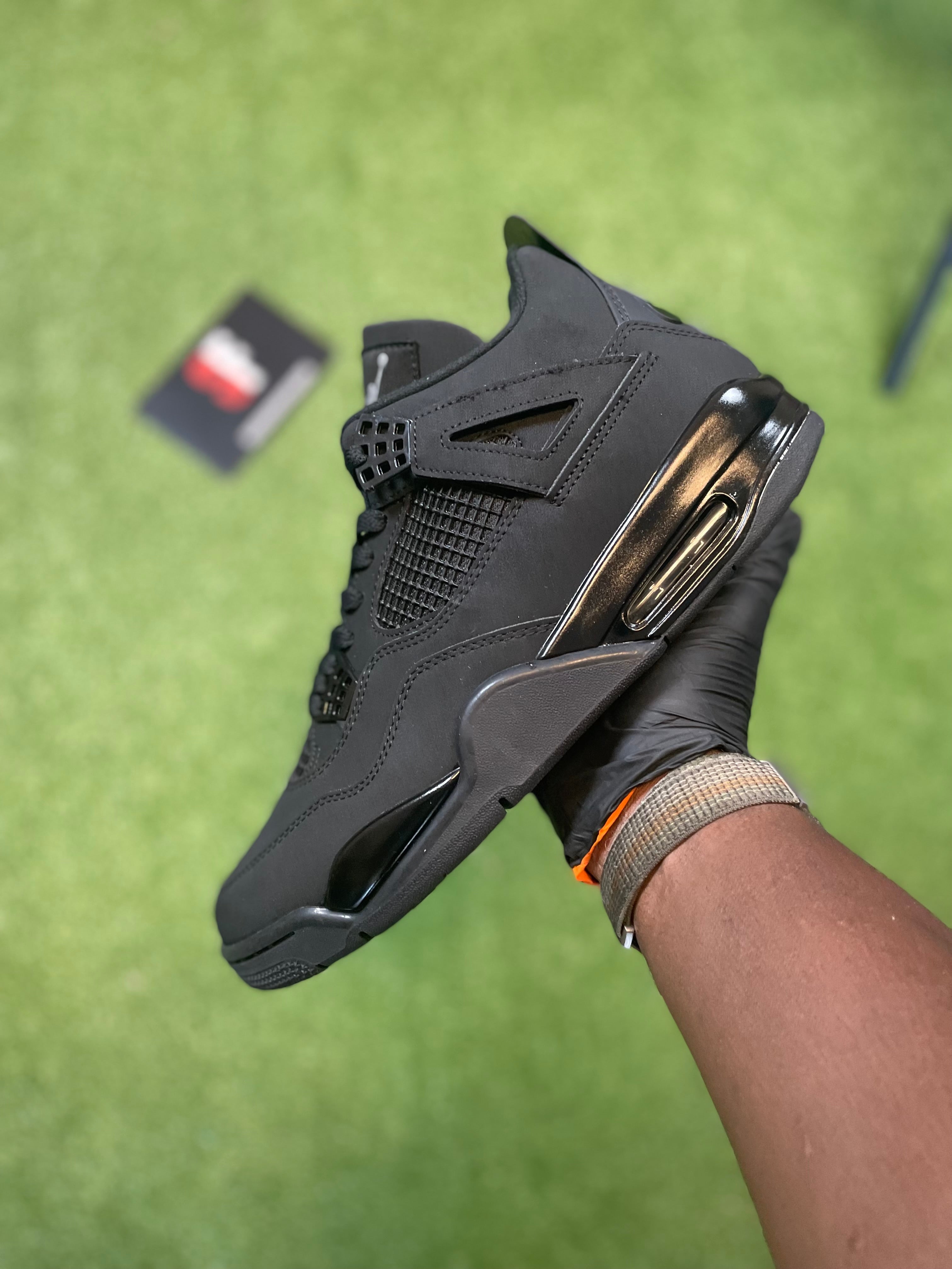 Black 🐈‍⬛ 2025