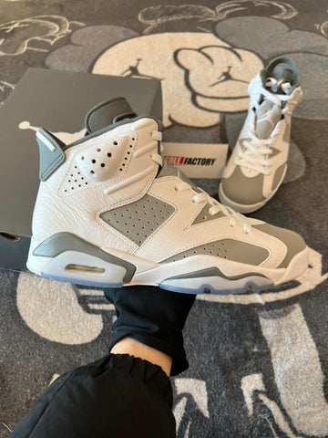 2023 Air Jordan 6  Cool Grey